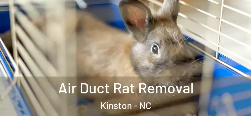 Air Duct Rat Removal Kinston - NC