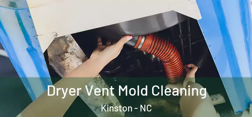  Dryer Vent Mold Cleaning Kinston - NC