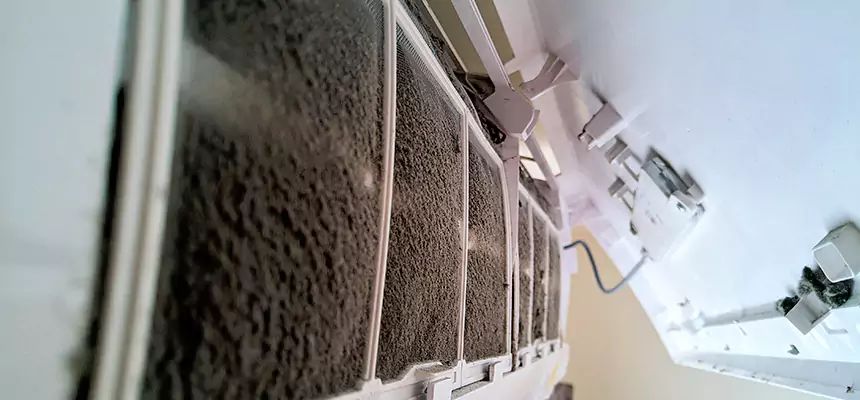 Preventive Air Duct Bacteria Removal in Kinston