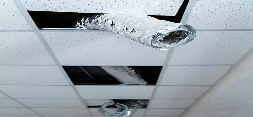 Affordable HVAC Sanitizing After Pest Removal in Kinston