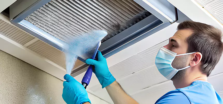 Proactive Dryer Vent & Auxiliary Duct Pollen Cleanup in Kinston, NC