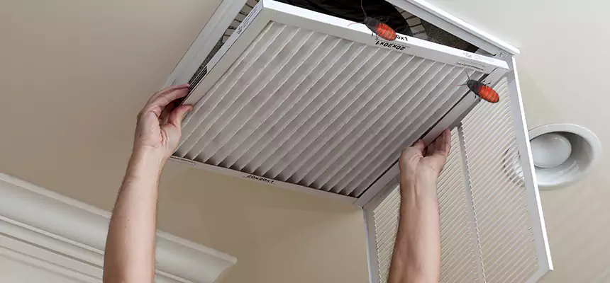 Our Insect Removal from Air Ducts Services in Kinston, NC
