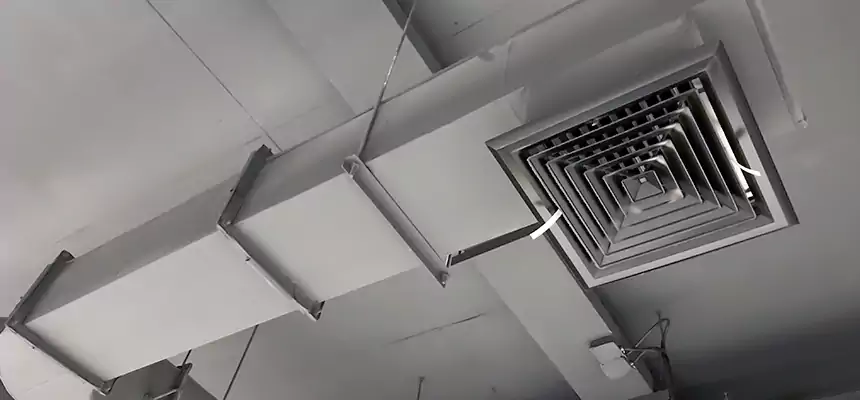 Our Pest Removal From Ducts Services in Kinston, NC