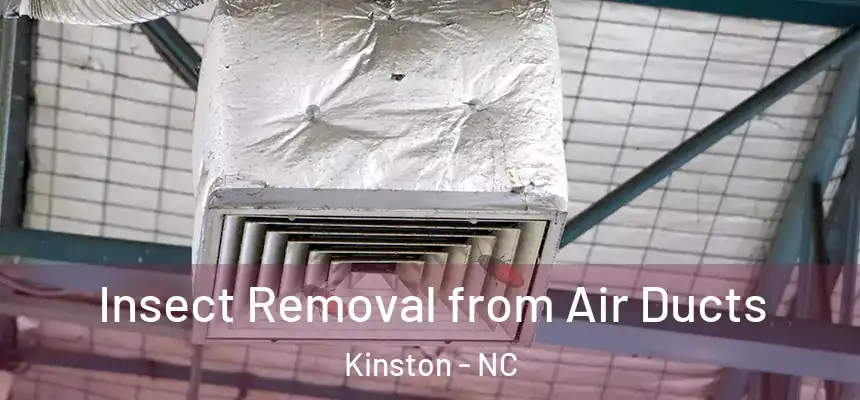  Insect Removal from Air Ducts Kinston - NC