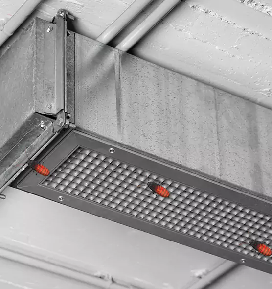About Air Duct Cockroach Removal in Kinston, NC