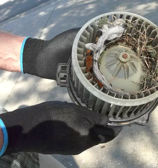 About Air Duct Rat Removal in Kinston, NC