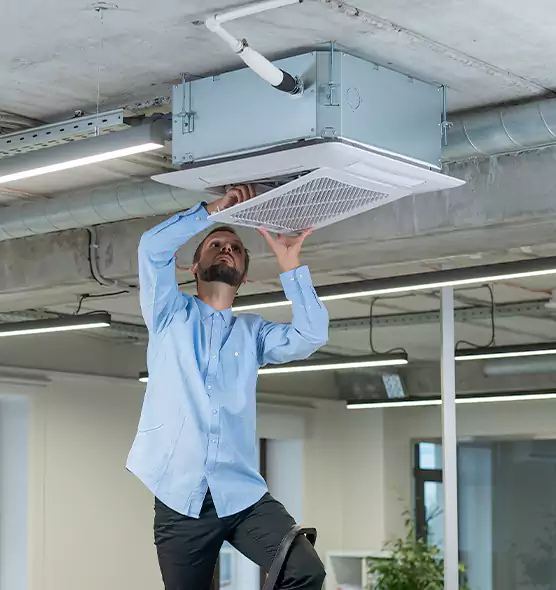 Advanced Rodent Droppings In Vents in Kinston, NC