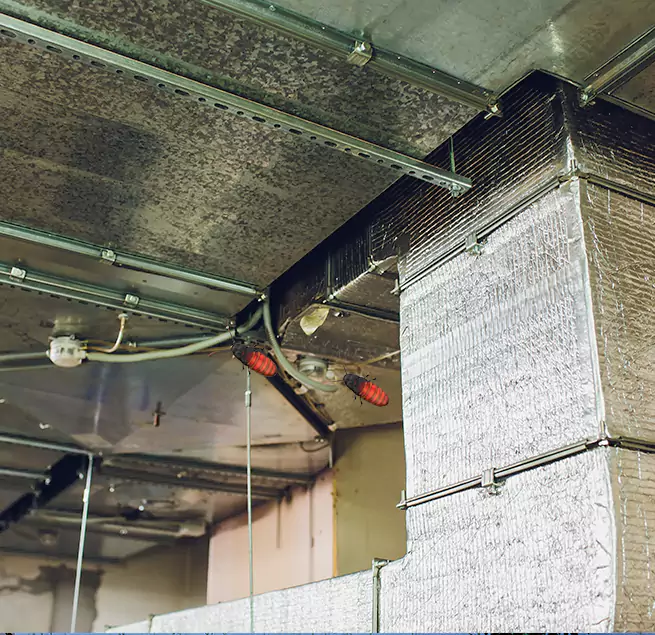 Why Homeowners & Businesses Trust Us in Kinston, NC?