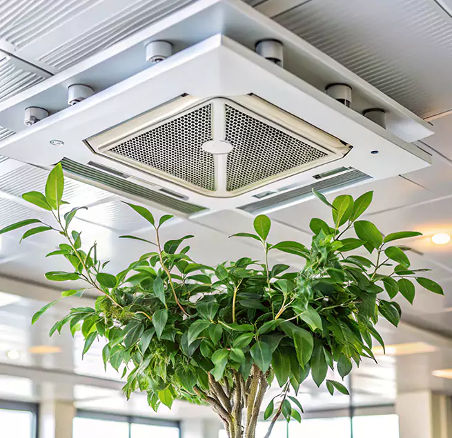 Why Homeowners & Businesses Trust Us in Kinston, NC?